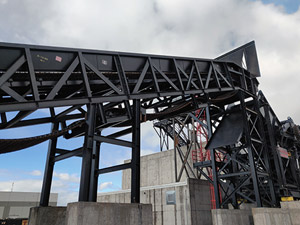 Cat Track Conveyor